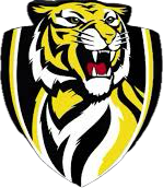 Moore Park Tigers